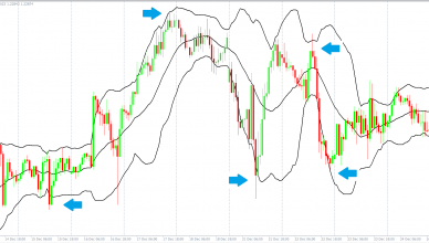 Trading Bull Club