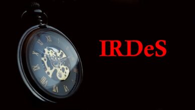 L’IRDeS (Indicatore di Rilevamento Distanza e Spike)